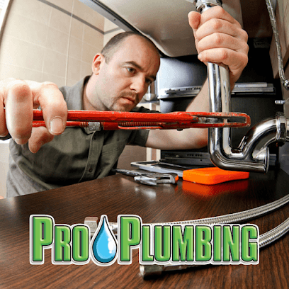 Pro Plumbing Services Corp photo